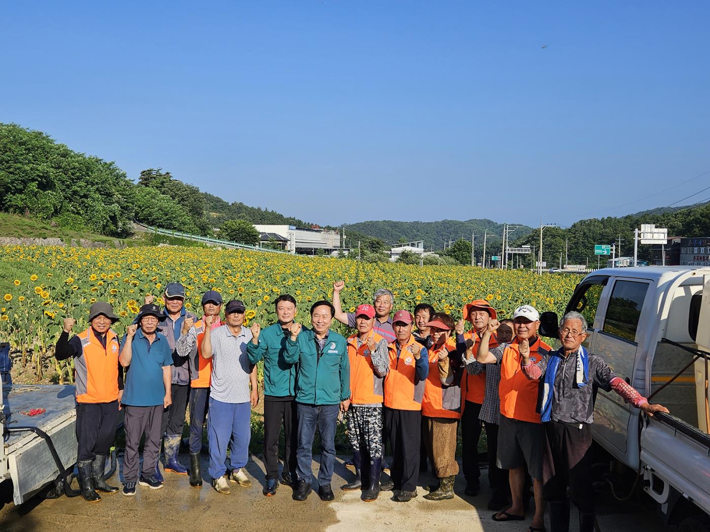0710 풍산읍, 여름을 수놓은 ‘해바라기단지’ 조성 (1).jpg